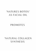 natures botox as facial oil promotes natural collagen synthesis